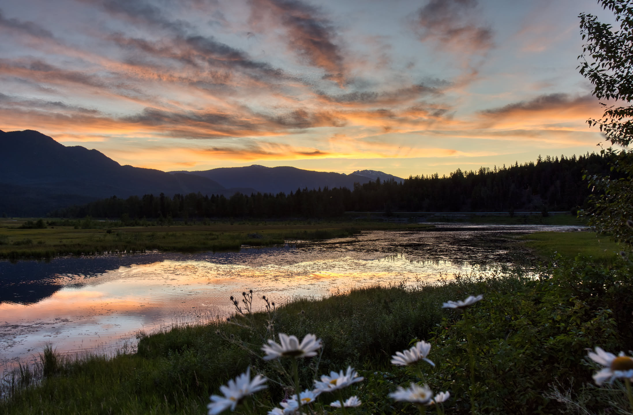 IMG_9502 (1)-SharpenAI-Standard_preview.jpeg